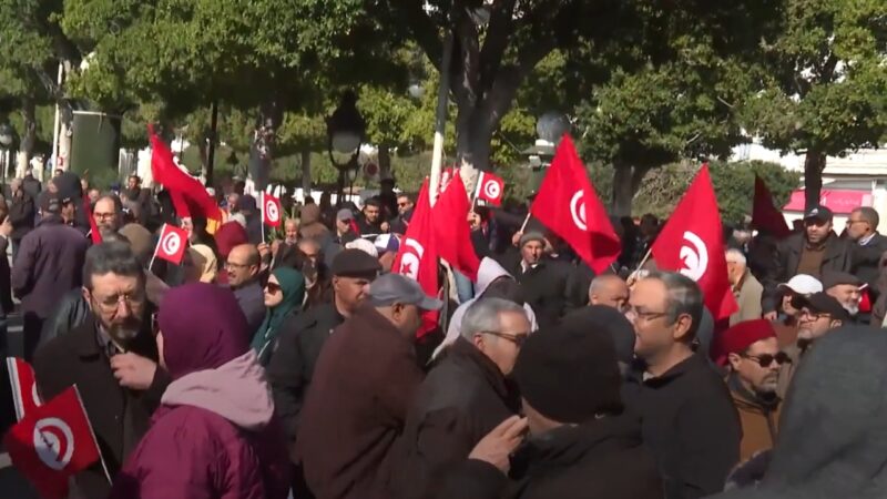 Protesters in Tunisia Demonstrate Against the Government's Media Crackdown